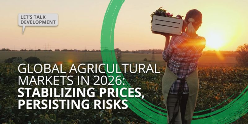 Global Food Prices Continue to Affect Developing Economies