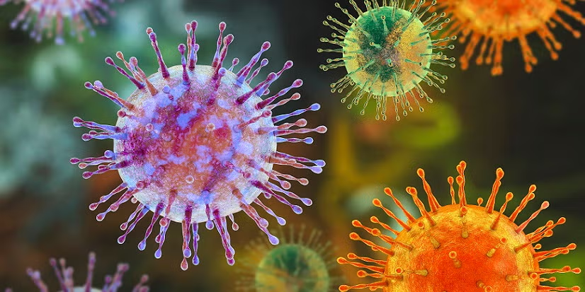 Hantavirus cluster linked to cruise ship travel, Multi-country
