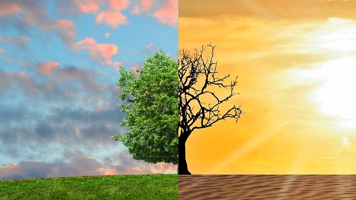 Growing Focus on Climate and Environmental Protection