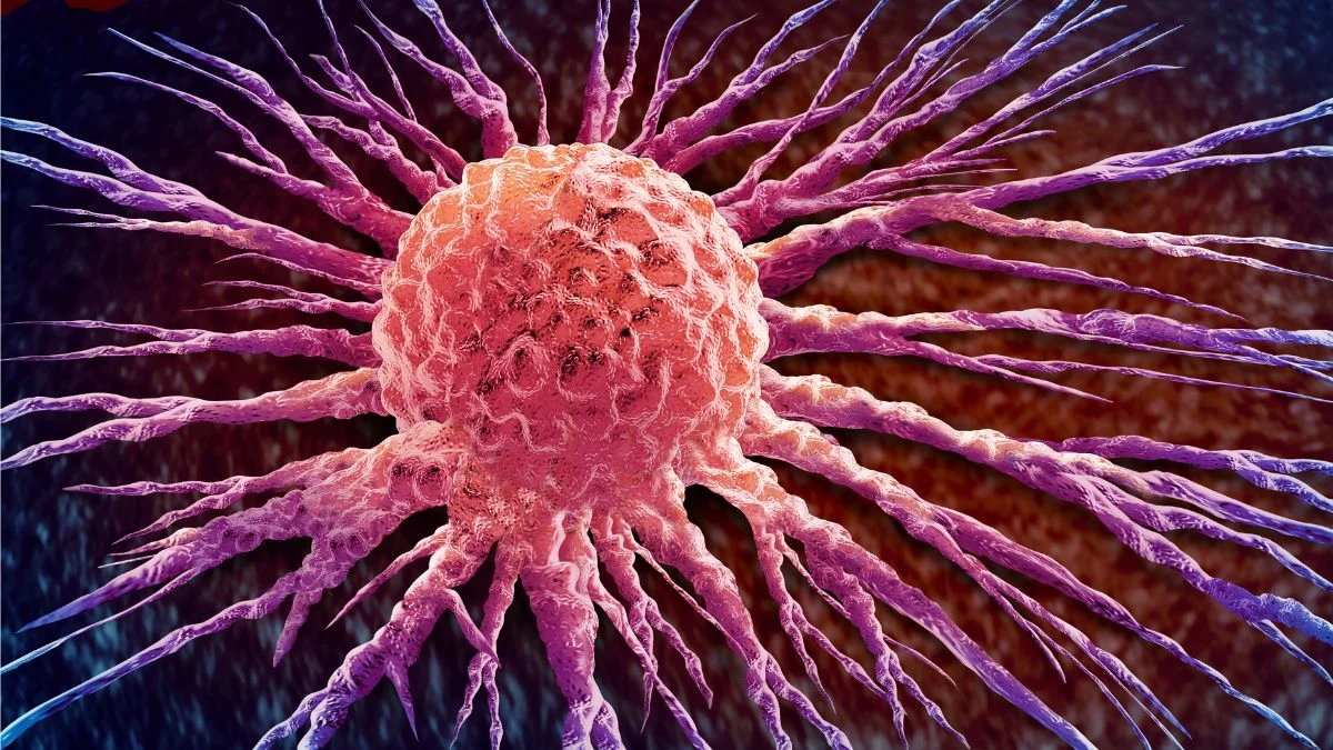 Experimental pill promises new hope for deadly pancreatic cancer
