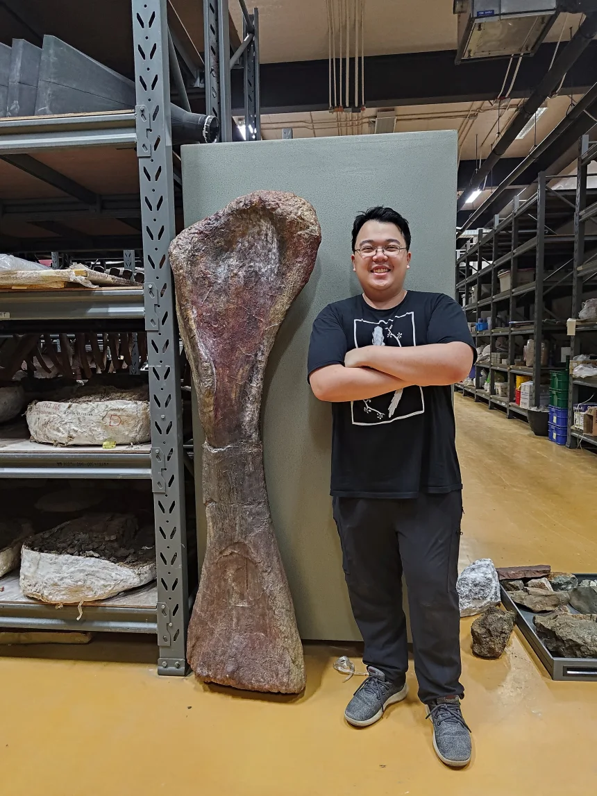 New species of giant dinosaur identified from remains found in Thailand