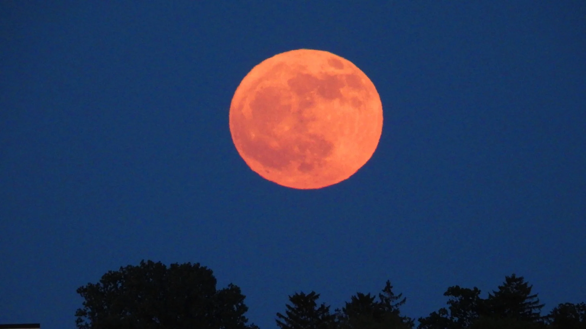 The full strawberry moon will rise in the night sky this week