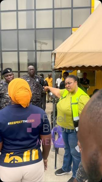 GAB Rebukes MP Theresa Awuni Over CalBank Outburst